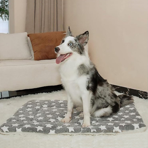 Dog and Cat Bed, Thick and Warm Sleeping Mat for Autumn and Winter, Pet Cage Mat for All Seasons