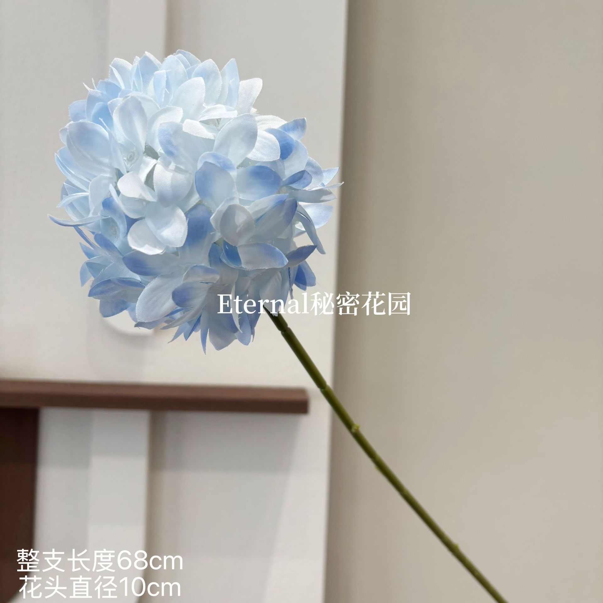 프랑스산 파 볼