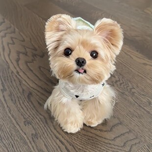 �s������Ȯ���N���w�s����Ȯ���̽��^�y����ɫ�豭Ȯ�s���Č��ﹷ