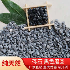 磨圆碎石 黑色砾石 水洗石 园林造景 盆栽铺面 胶粘石