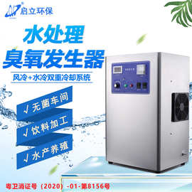 爆款启立15G饮用水处理臭氧发生器 纯净水杀菌净化臭氧消毒机泳池
