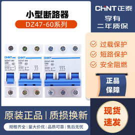 正泰小型断路器 DZ47-60 1P2P3P4P空气开关 电闸空开 短路保护器