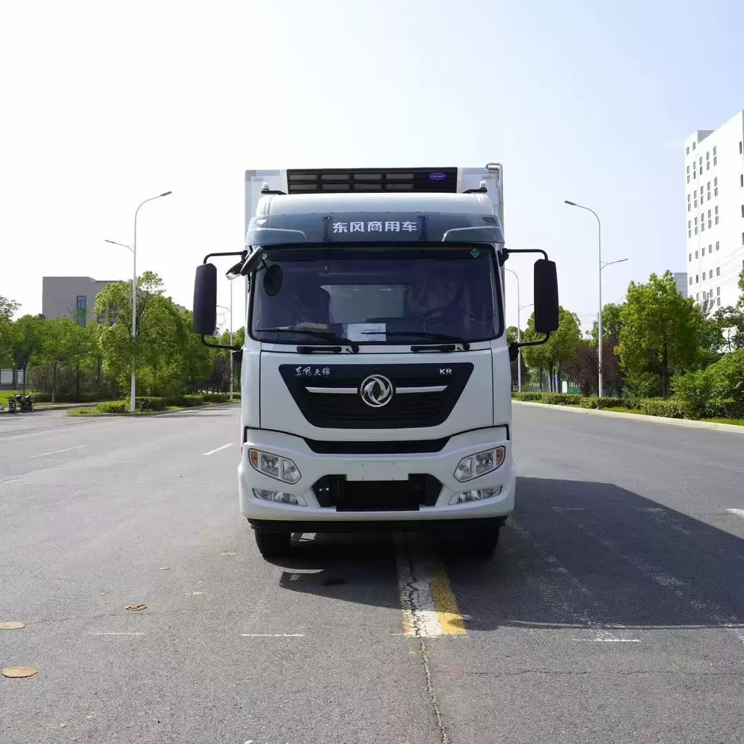 6米8天锦KR冷藏车 冷链厢式车 冻货冷冻食品果蔬保鲜车带尾板