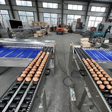 三道五级蛋品分拣机鸡蛋鸭蛋分选机 蛋品分拣设备 厂家供应 特惠