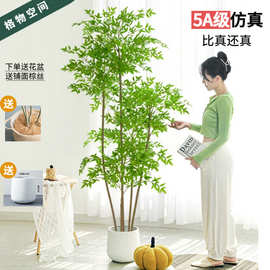仿真绿植南天竹高端轻奢仿生假植物盆栽客厅装饰树摆件假花仿真花