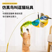 �羳늄ӷ���н��B؈��Ғ�l��߶�؈��؈�����Ϳ�ҧ؈�����