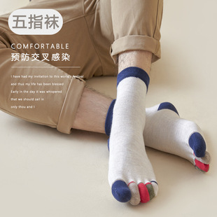 Spring and Autumn Mid-heel Five-finger Socks Men's Solid Color Cotton Sweat-absorbent Toe Socks Ins Trendy All-match Sports Colored Cotton Toe Socks