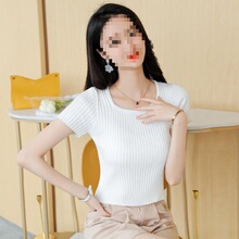 �̿���zᘿ���2026Ů����T�����I���zᘿ��̿�����95ɫ���b����