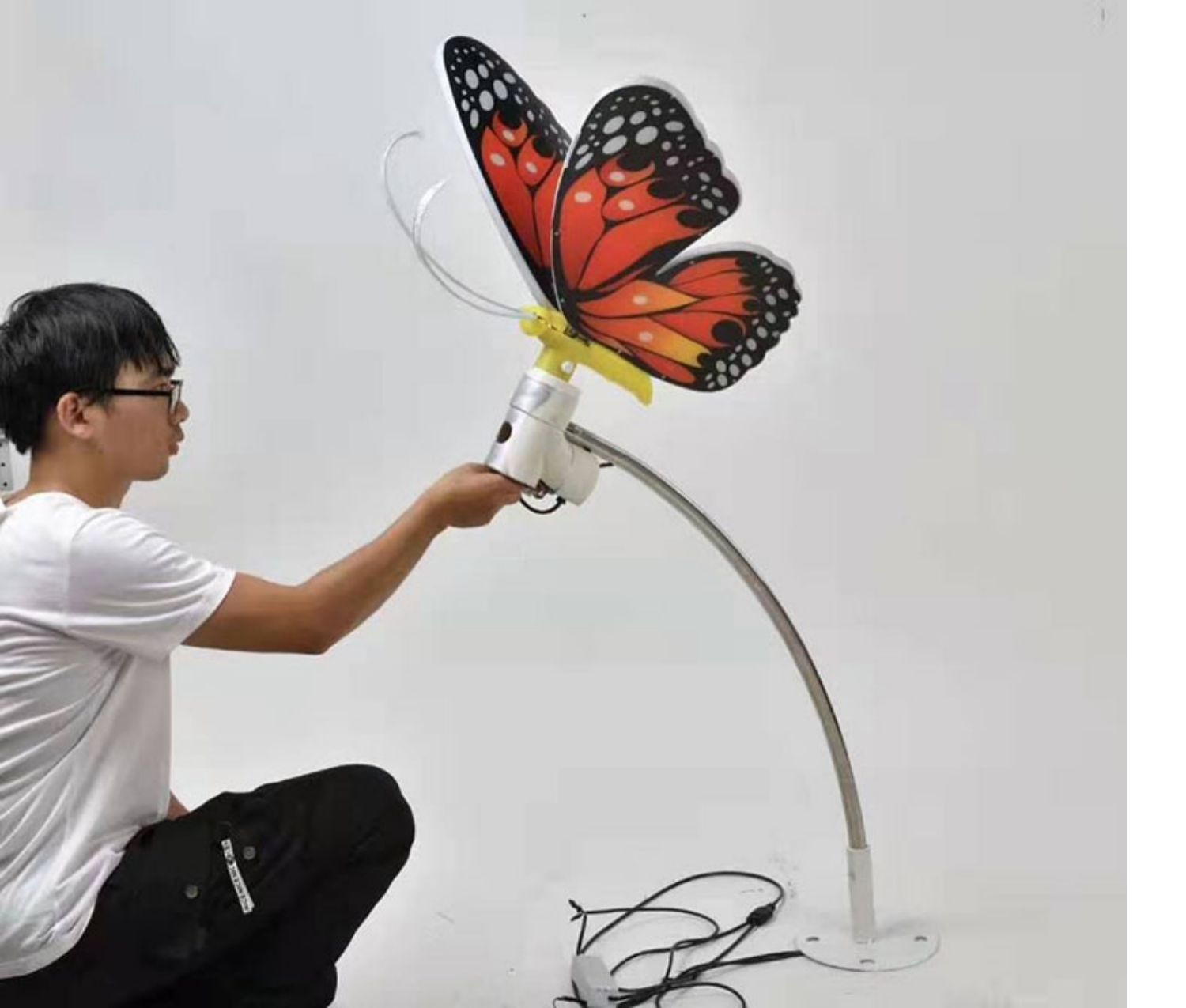 236a98f101fb56d4c7556271aa6cb1