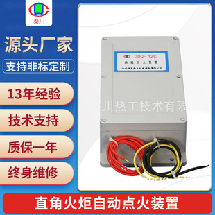 Electronic Igniter for Coke Gas Release, Ignition Gun Can Be Customized with Right Angle, Automatic Ignition Device for Torch
