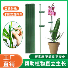 园艺花架植物专用防倒伏支撑杆西红柿辣椒固定杆花支撑架爬藤卡扣