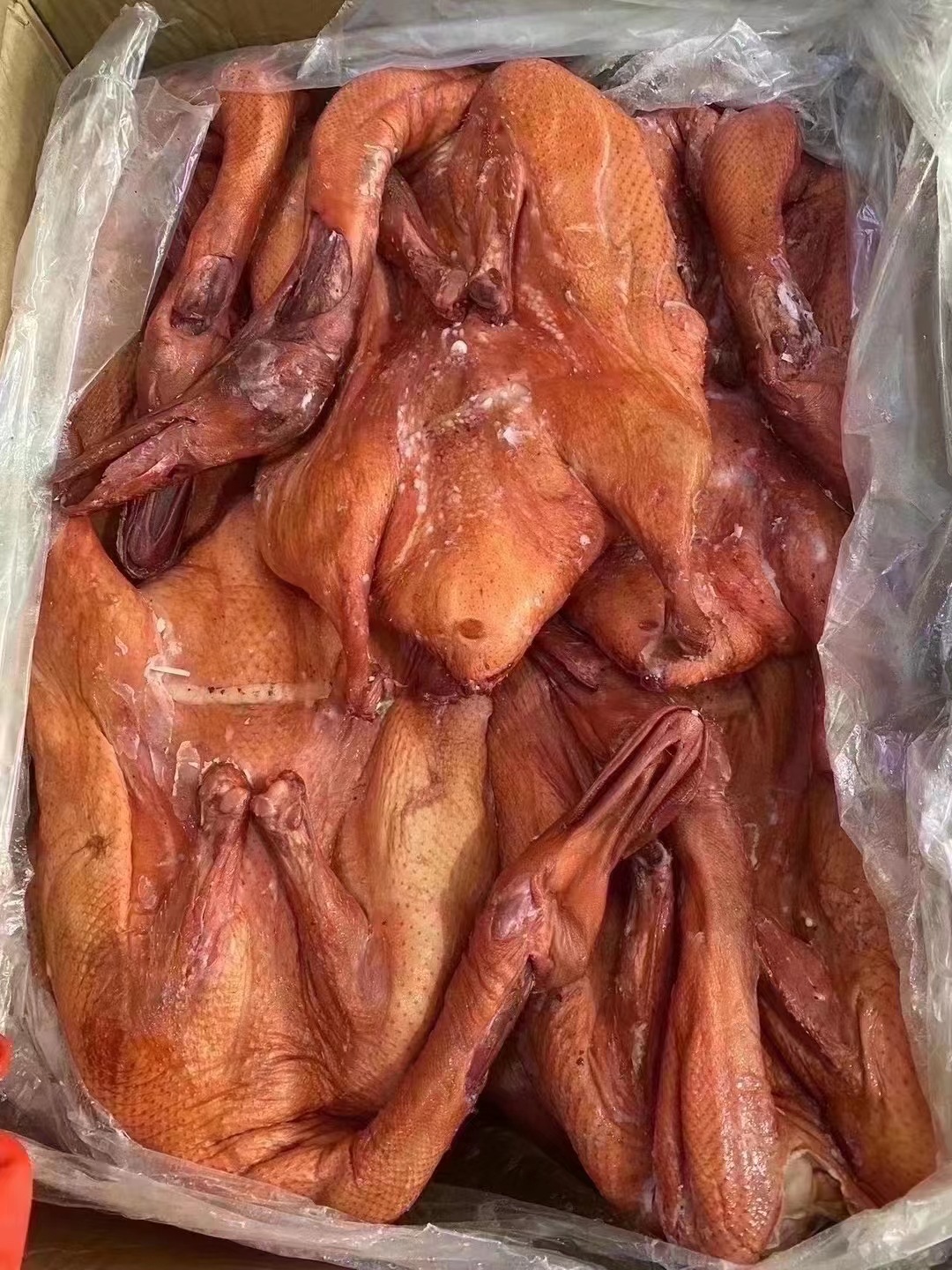 3bbab560974646f92f554eec4ea4b3