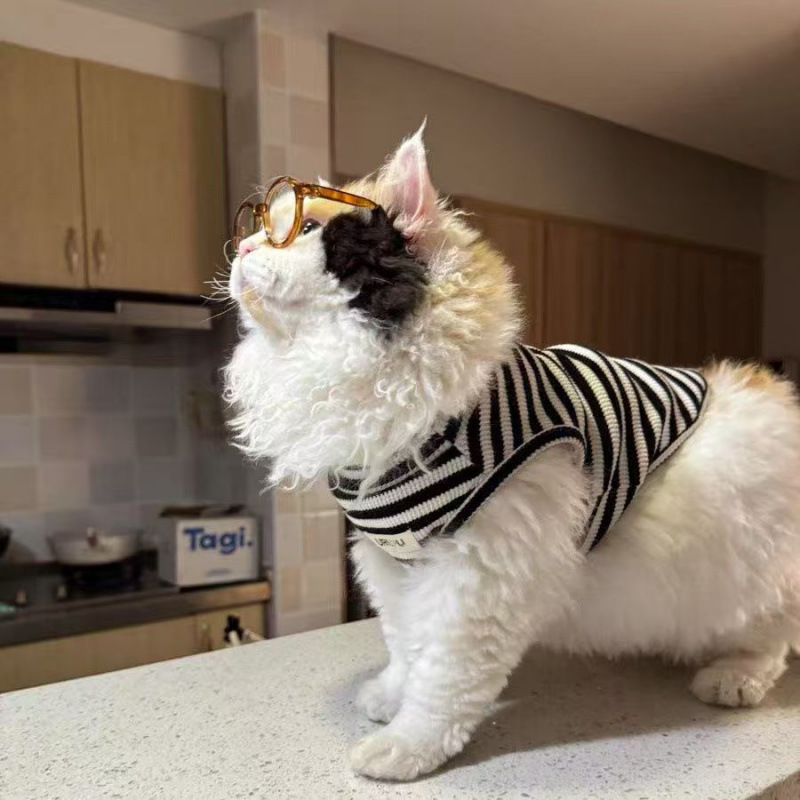 Ropa de gato de verano delgada perro pequeño anti-pello transpirable plata gradiente lindo gato de patas cortas chaleco a rayas