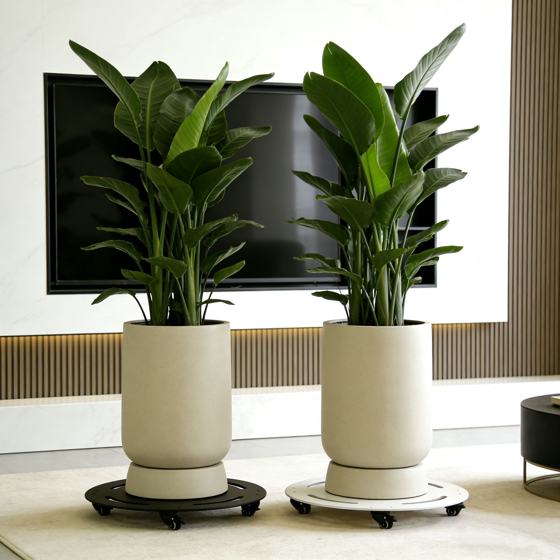 soporte de fondo de maceta de placa de acero móvil redondo gran rodante rodante universal para fijar soporte de fondo de maceta de plantación verde interior