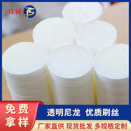 厂家供应0.1mm尼龙刷毛直丝工业清洗丝塑料刷丝杜邦透明尼龙刷丝