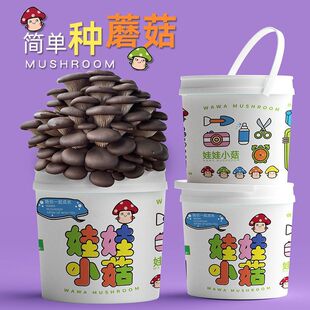 ���Q�ɳ�Ģ���NֲͰ�b��ͯ���N�N���׃��@����DIY�Nֲ��ƽ������