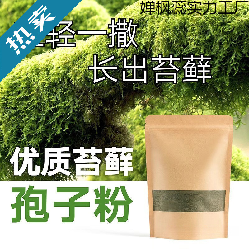 Moss and Lichen Plant Seeds Absorb Water, Water-Stone Bonsai, Rockery Pot Surface, Micro-Landscape Spore Powder, Fresh and Vibrant All Year Round Moss and Lichen Plant Seeds Absorb Water, Water-Stone Bonsai, Rockery Pot Surface, Micro-Landscape Spore Powder, Fresh and Vibrant All Year Round