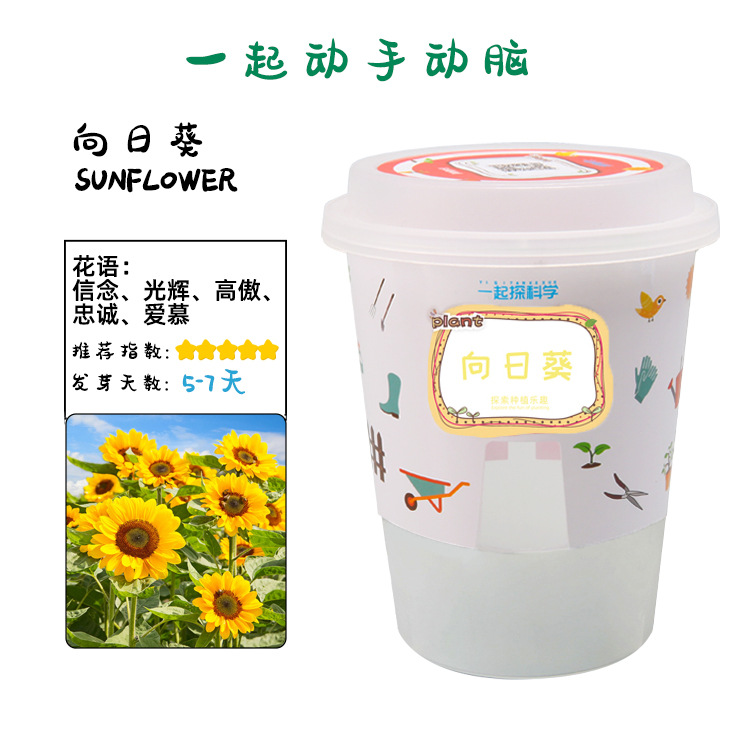 Juguetes educativos para niños al por mayor experimento científico traje kindergarten DIY hecho a mano Tecnología pequeña producción material regalo