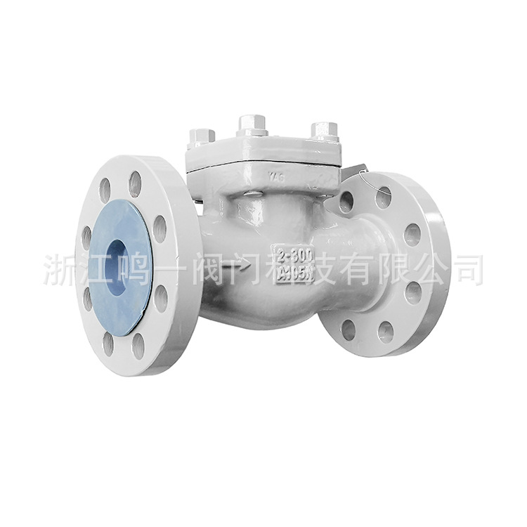 锻钢旋启式止回阀高清洁脱油脱脂禁油氧气专用整体法兰止回阀H44Y