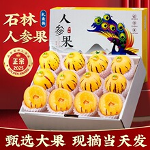 云南石林人参果新鲜水果圆果树上熟特大果礼盒人生果