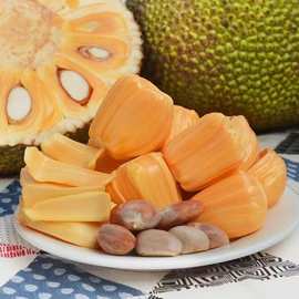 海南现摘现发红肉菠萝蜜香甜当季热带水果非泰国越南红肉菠萝蜜