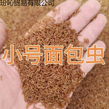 ��С����x���x�S���x���x֩��ϐ��ʯ������ʳ���_���x1����