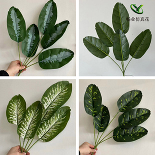 ����Gɫ�Gֲ�~�ӰŽ��~�����~�����~3D��ӡɭϵ�Gɫ�b��~�����l