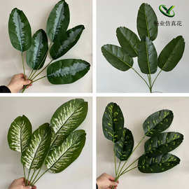 仿真绿色绿植叶子芭蕉叶龟背叶彩芋叶3D打印森系绿色装饰叶材批发