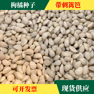 ����Դ�^���ٷN�� �e���N��ȸ��վ�� �L�̎���ֲ���F�h�ʷN�Ӽ޽�