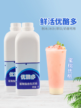 鲜活优酪多原味含乳优格浓缩酸奶乳酸菌饮料奶茶整箱批1L