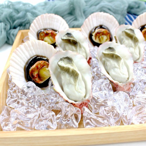 Simulated food barbecue oysters and scallops model decoration photography props hotel window display play house toys