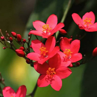 �ļ��_���������~ɺ�����~����������ՙѻ���ȫ�ꎧ���l؛����ܛ