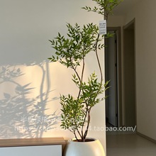 ϘGֲ҃ȿ͏dֲUͥԺ쾰ʽ