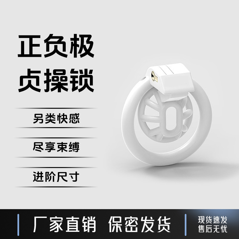 Trapped beast Amazon foreign trade positive and negative sm sex male chastity lock birdcage CB chastity lock training abstinence [