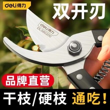 ������֦�����@�ֻ�ˇ�޼���֦������������ִ󻨼�@ˇ���ӹ���