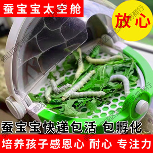 �Q�������w�Q���Q�ьW���B�Q���b���Q�Q�N���Q�g�g�����rɣ������