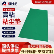 供应高粘浅绿色粘尘垫 无尘室车间脚踏地板胶门口洁净除尘粘尘垫