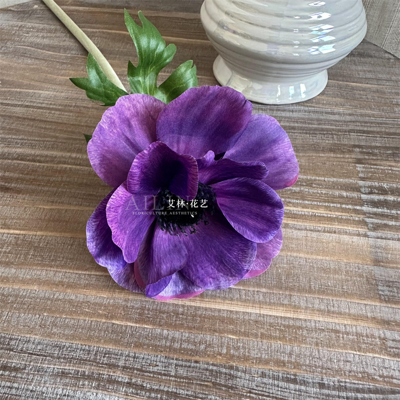 몰려든 말미잘
