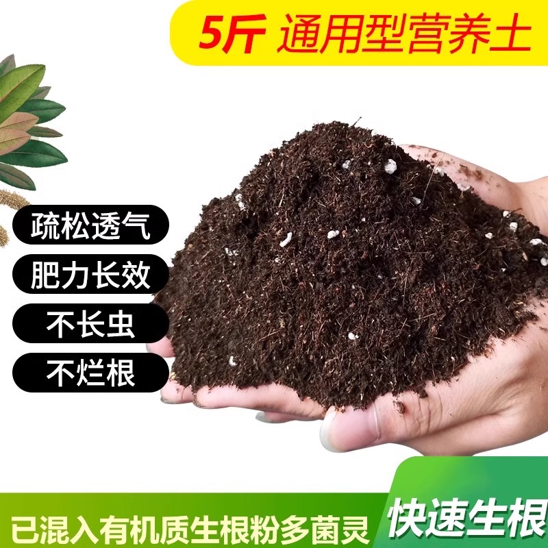 [시험팩] 특수포뮬러 영양토 2.5kg