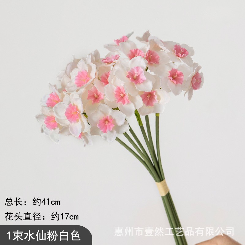 분홍색 흰색