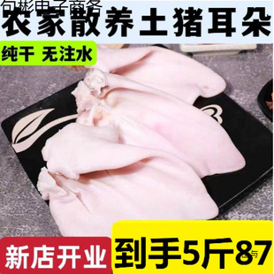 ���r�i����5������i�����i��Ƭ���i���u�ˎ����Ƀ�ȥë�u������