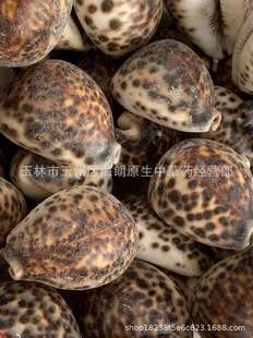 ��ș����ؐ�X��ș����ֹؐ��ؐ���������X��֧��������������ă�