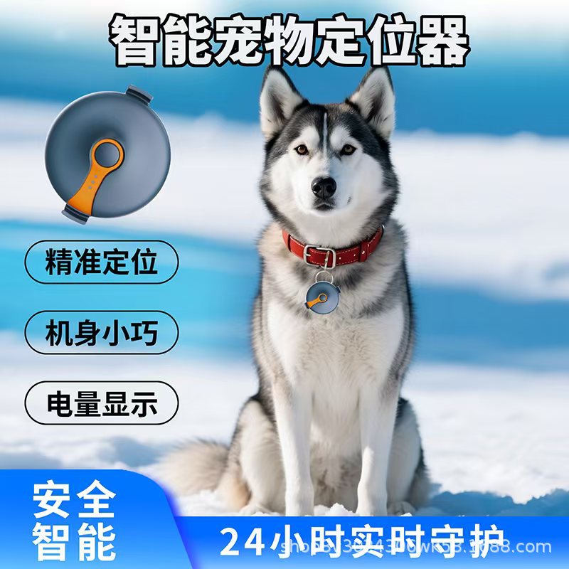 4G 무선 스마트 긴 대기 GPS 애완 동물 위치 추적기 애완 동물 관리 고양이 및 개 분실 방지 추적기