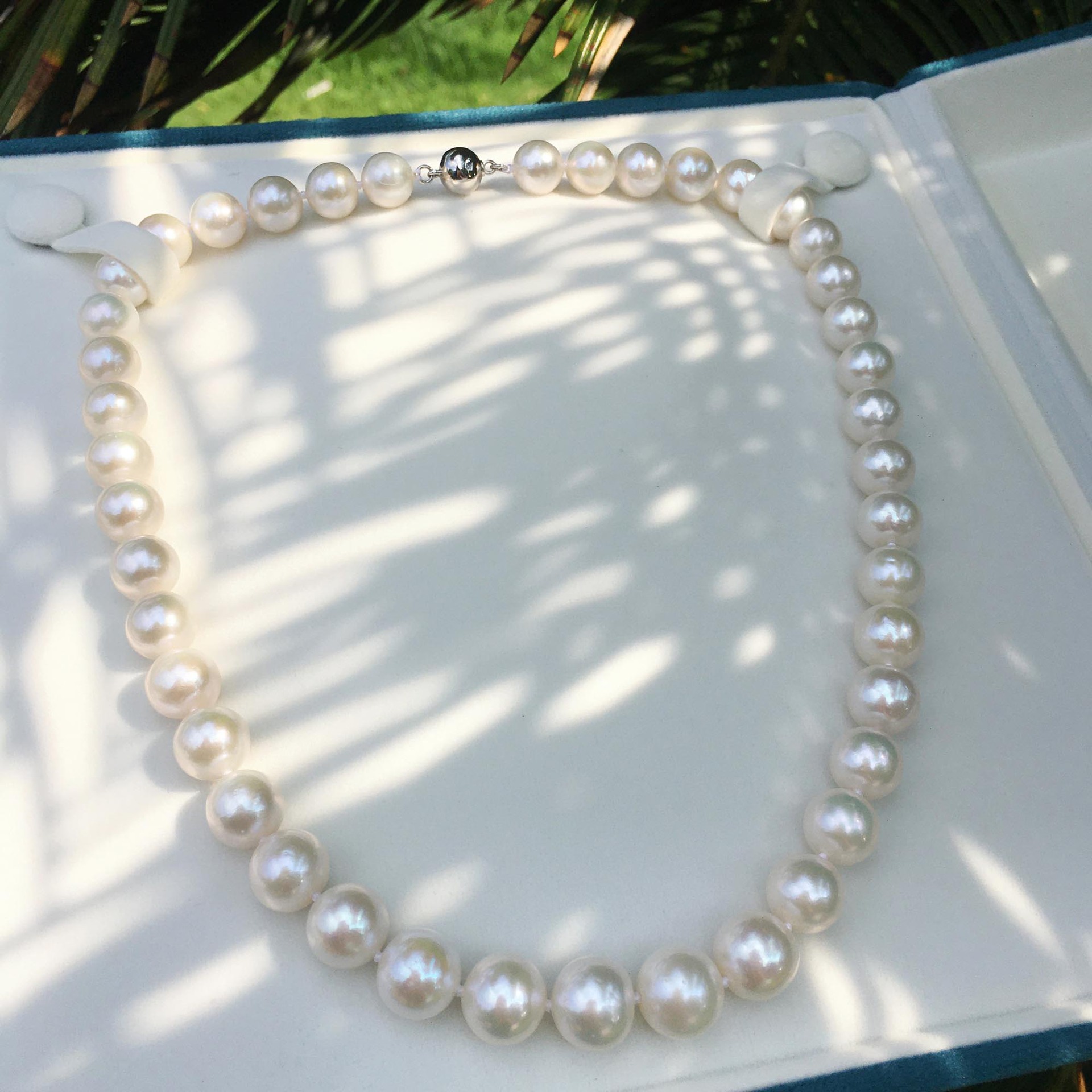 ����С����ͬ�����İ״��λ���tianȻ��ˮ�к�������������