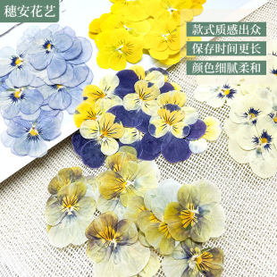 Beauty Photo Face Pressed Flower Painting Handmade Candle Table Lamp Dried Flower DIY Material Natural Color Pansy Dried Flower Embossed