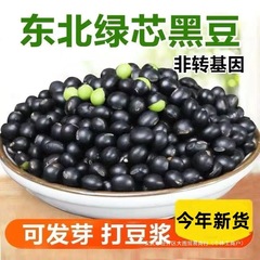 东北新绿心小黑豆农家自产一斤装青仁乌黑豆子豆浆泡醋五谷杂粮云
