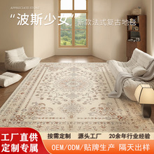定制地毯客厅全铺新款复古法式耐脏免打理地垫可擦轻奢高级感跨境