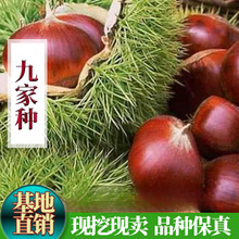 �޽ӾżҷN��������������������Ե��Ԯ���Y���ϱ����Nֲ������