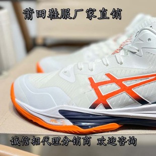 ����؛ԴSKY ELITE FF MT3�����ϻ����e��ĥ��������͸���\����Ь