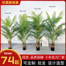 仿真散尾葵假绿植盆栽北欧家居仿真凤尾葵树贵妃葵珍珠葵树可批发